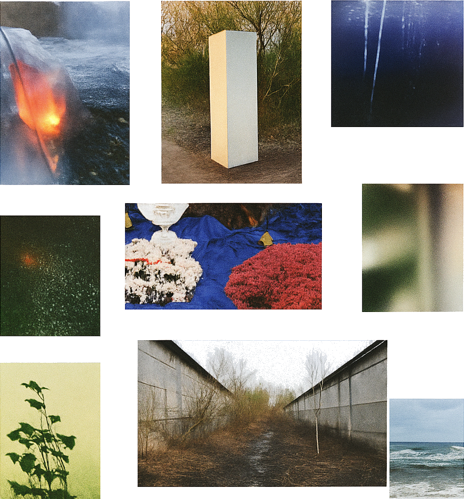 Collage van analoge foto’s met natuur, witte zuil, zee, planten en abstracte texturen op witte achtergrond.