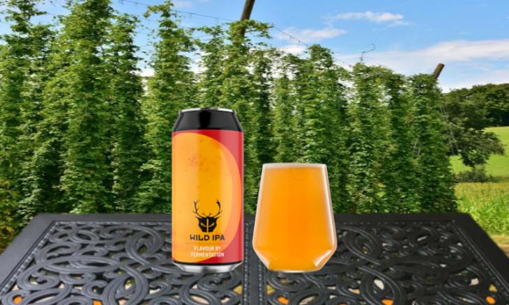 wild ipa bier en glas