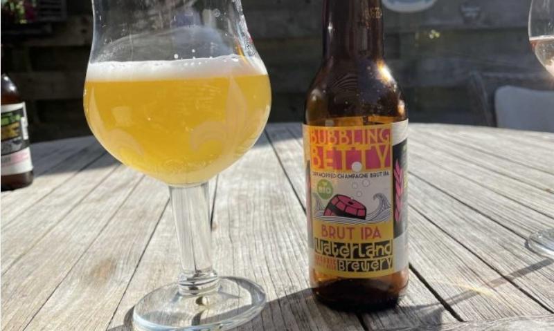 Waterland Bubbling Betty Bier