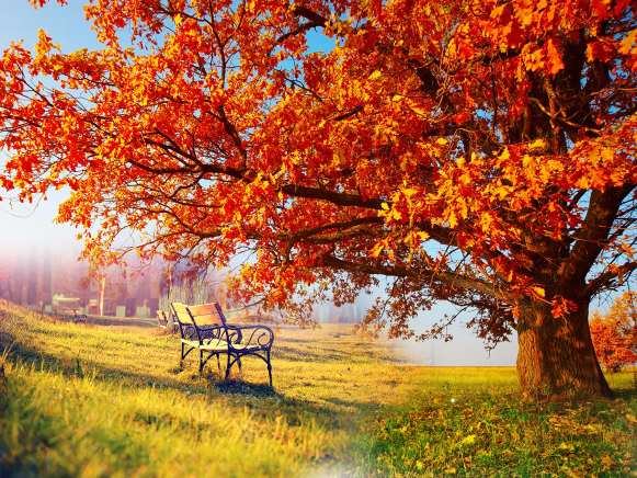 nature-wallpaper-png-3