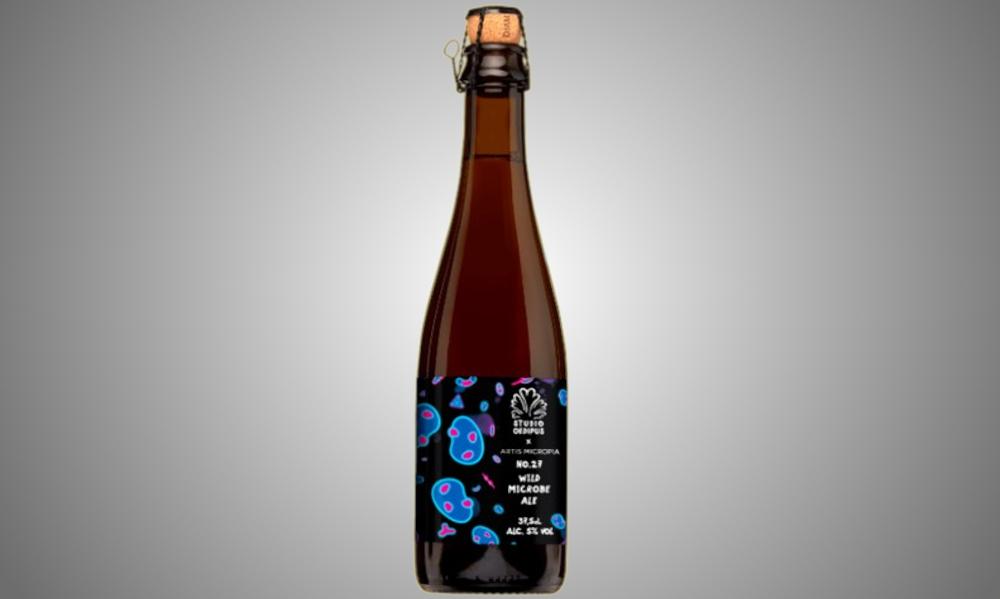 Studio Oedipus No. 27