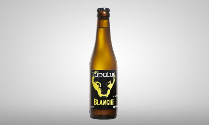 Lupulus | Lupulus Blanche Lupulus | Lupulus Blanche