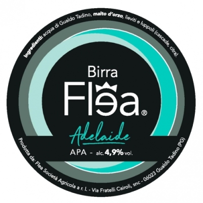 Birra Flea Adelaide