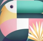 Vocation Toucan Tropic
