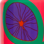 Omnipollo Tefnut Pompelmocello