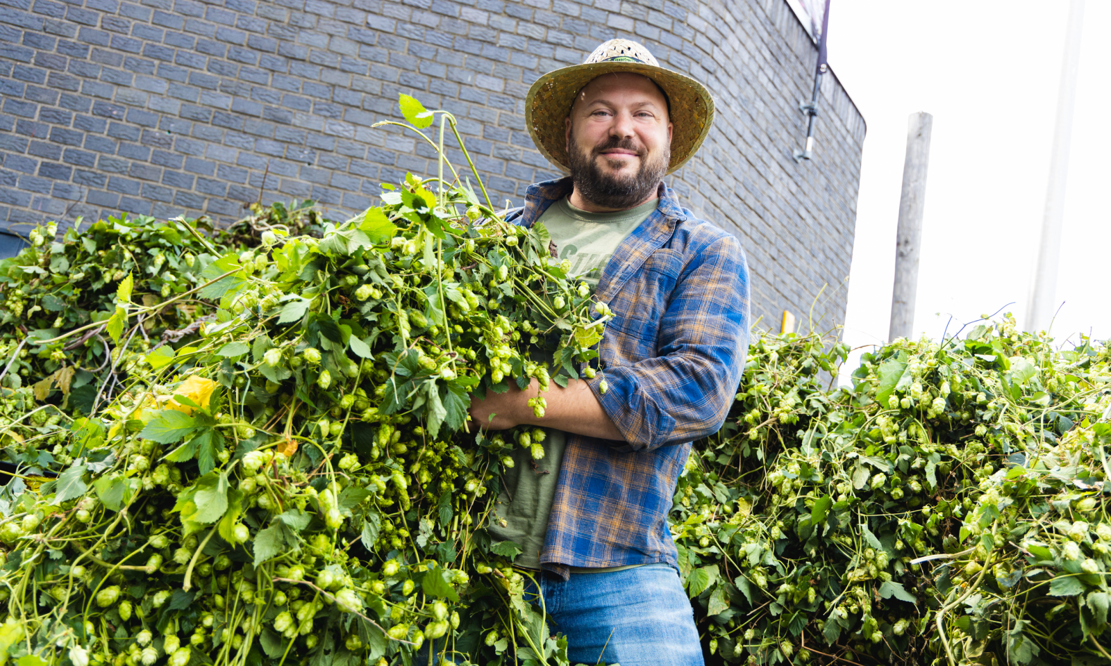 Ronald Van de Streek met verse hop