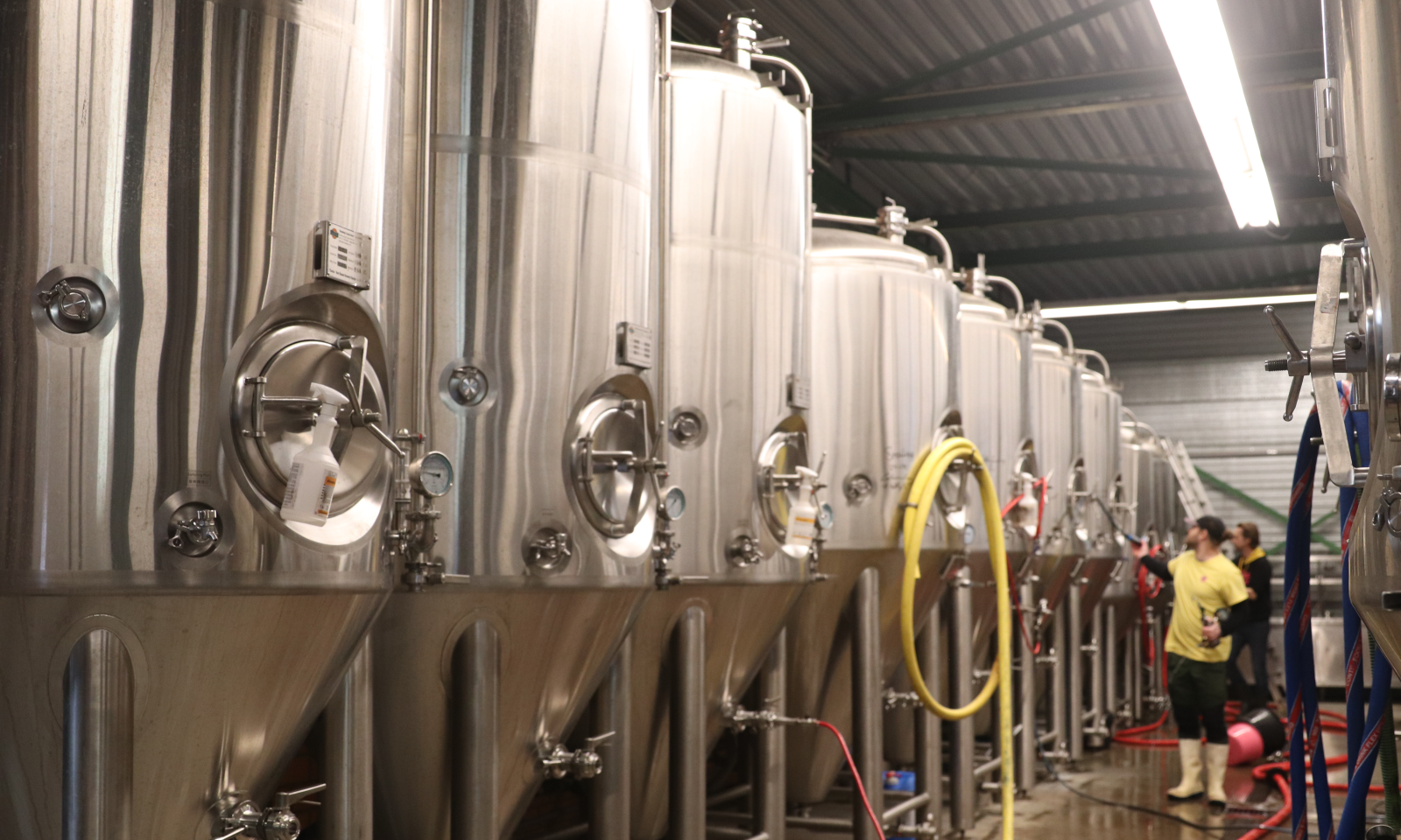 Binnen bij Brouwerij Poesiat & Kater