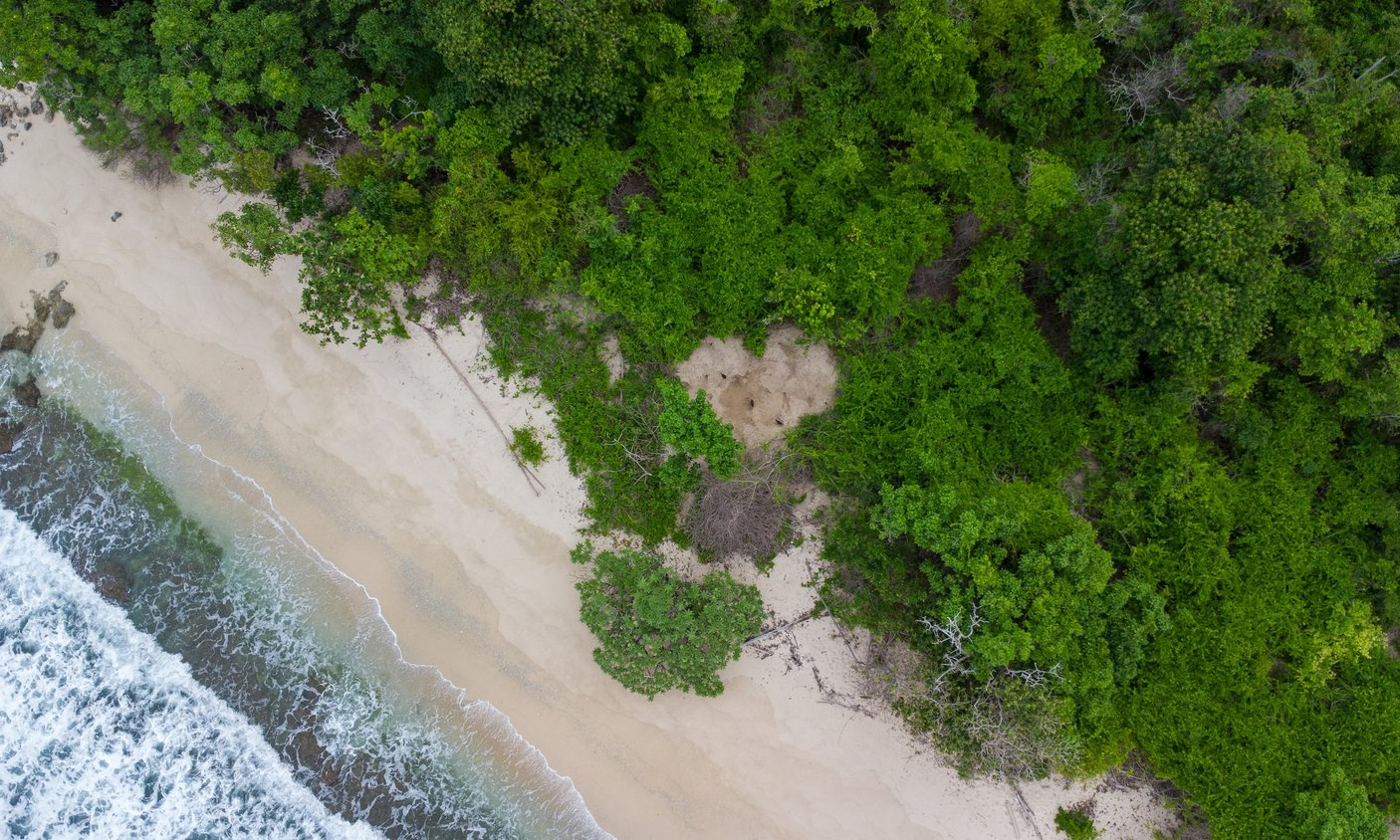 Natuur waarvoor Bird Brewery zich inzet