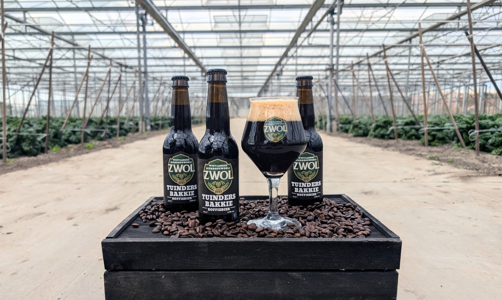 Brouwerij ZWOL blaast Westlandse klassieker nieuw leven in Tuindersbakkie bier in de kas