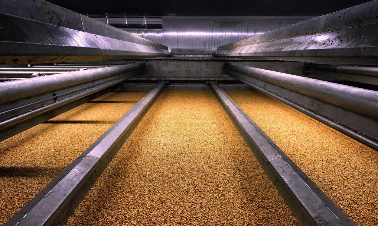 Metalen constructie boven grote hoeveelheid geel mout in fabriek.