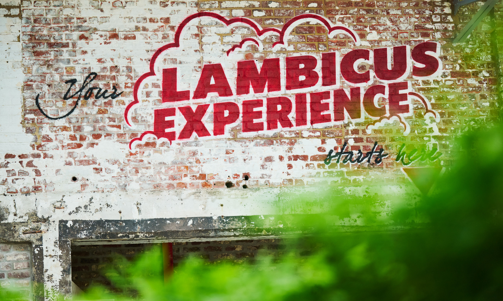 Bakstenen muur met 'Lambicus Experience' geschilderd erop en groene bladeren aan de onderkant.