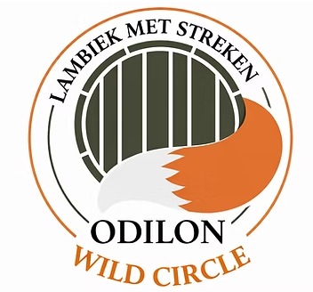 Logo van Odilon met ronde lijnen, kelderbogen, oranje vosvorm en de naam Odilon.