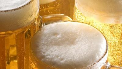 Bier