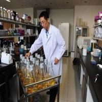 Bier binnenkort gezond?