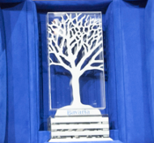 Bavaria wint Award