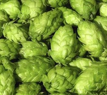 Hop