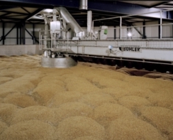 Mouterij Holland Malt