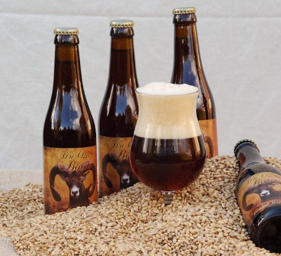 Beste Bockbier van NL Beste Bockbier van NL