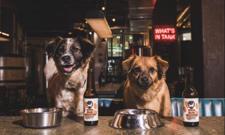 Brewdog lanceert eerste hondenbier Subwoofer IPA Brewdog lanceert eerste hondenbier Subwoofer IPA