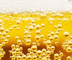 Nederlandse Brouwers