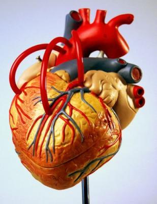 alcohol goed voor je hart