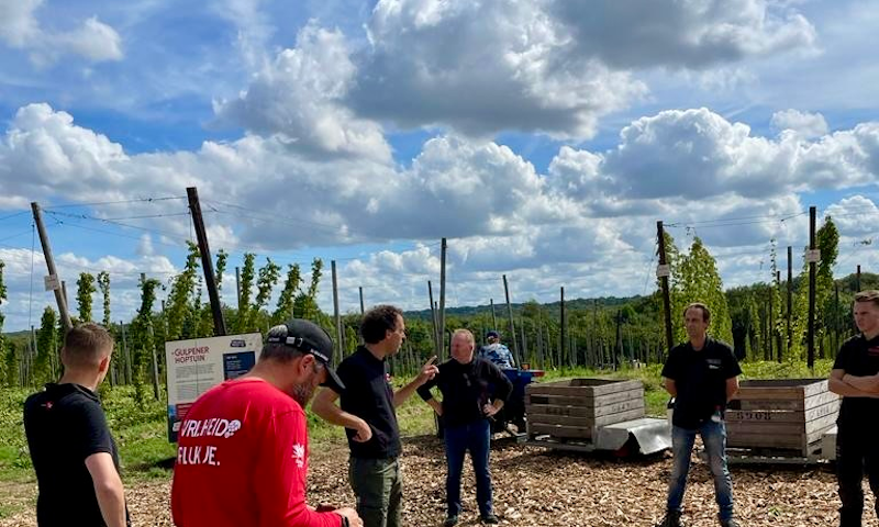 Werknemers en vrijwilligers die hop komen plukken