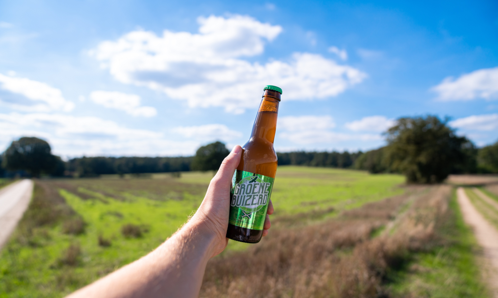 Flesje Groene Buizerd bier in de natuur