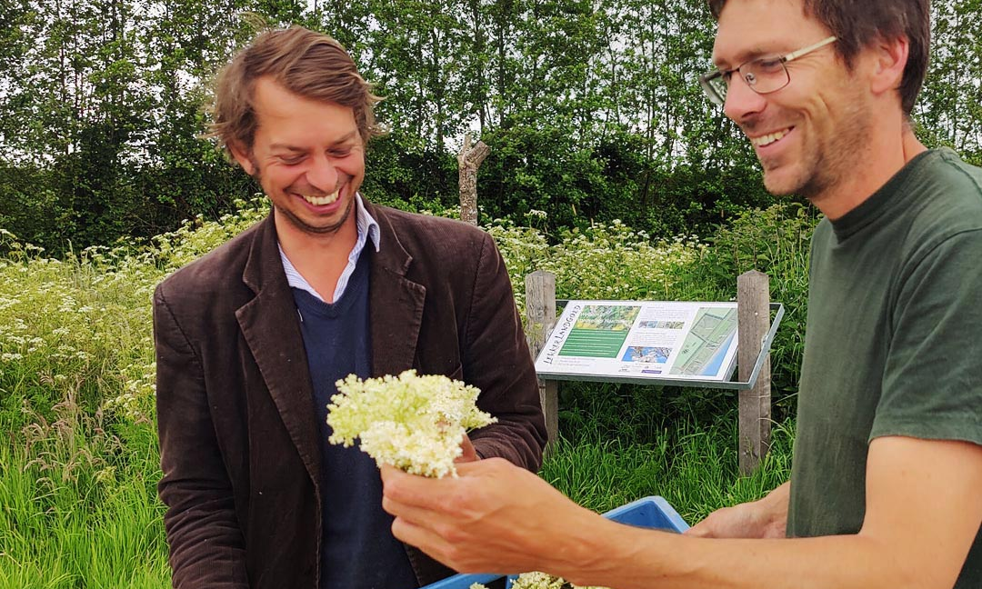 Maximus start de zomer met witbier van vlierbloesem