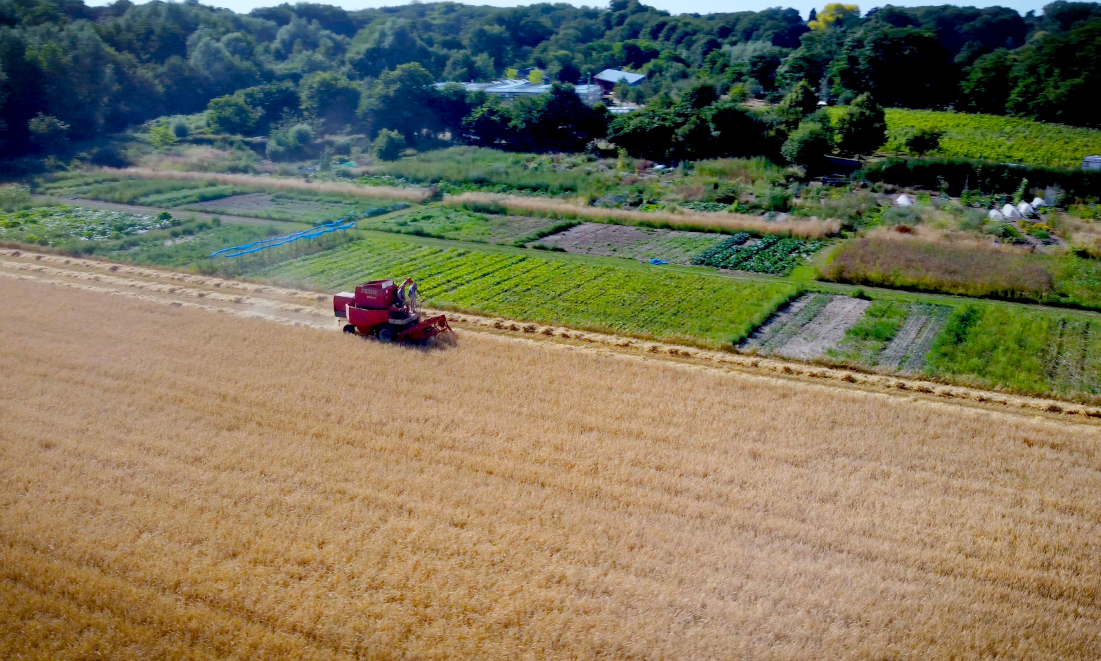 Buitenpost en DAVO brouwen bier met eigen gerst 