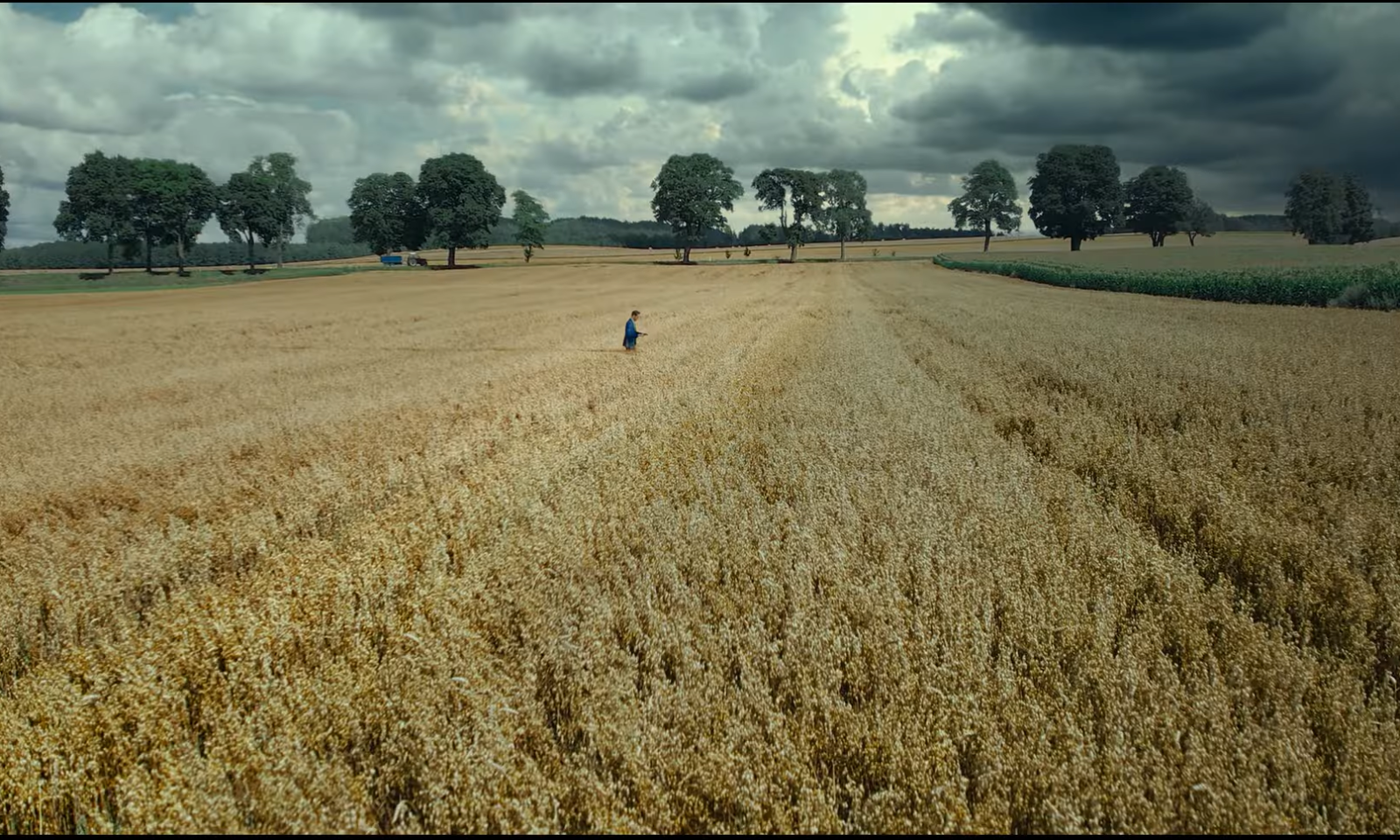 Man in blauw kledingstuk loopt door een groot goudgekleurd veld onder een bewolkte lucht.