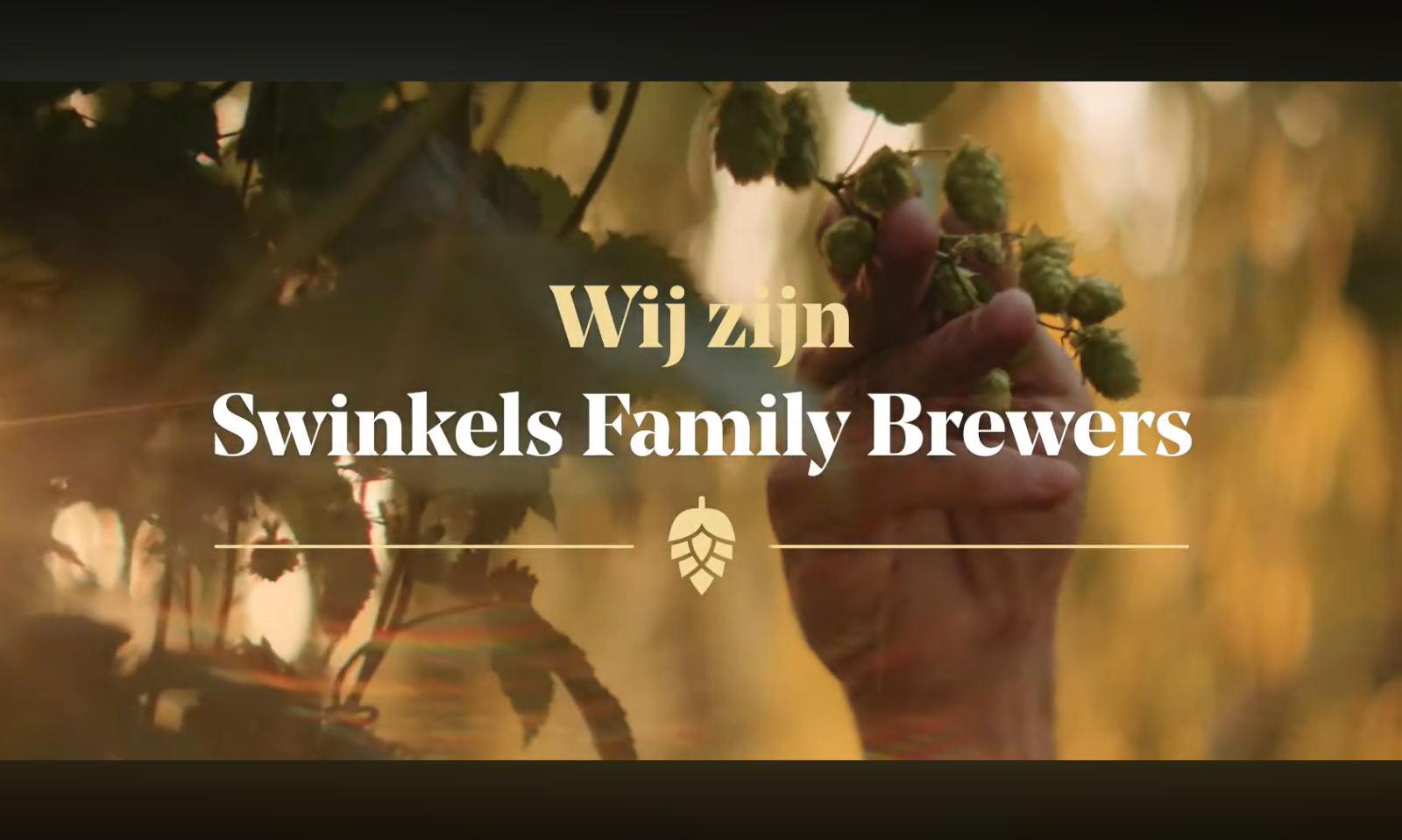 Hand houdt hopbellen vast onder bladeren met tekst 'Wij zijn Swinkels Family Brewers'.