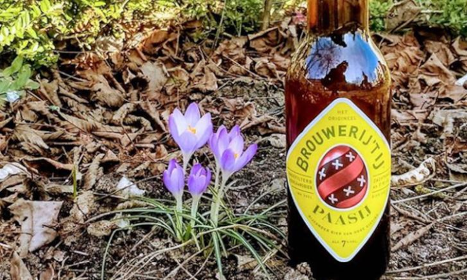 Een fles PaasIJ bier staat naast paarse krokussen op de bosgrond met bladeren.