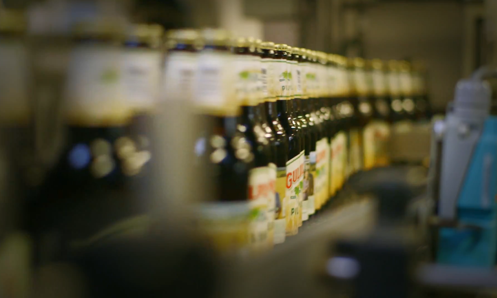 Rij Gulpener bierflessen op een lopende band in een productieomgeving.