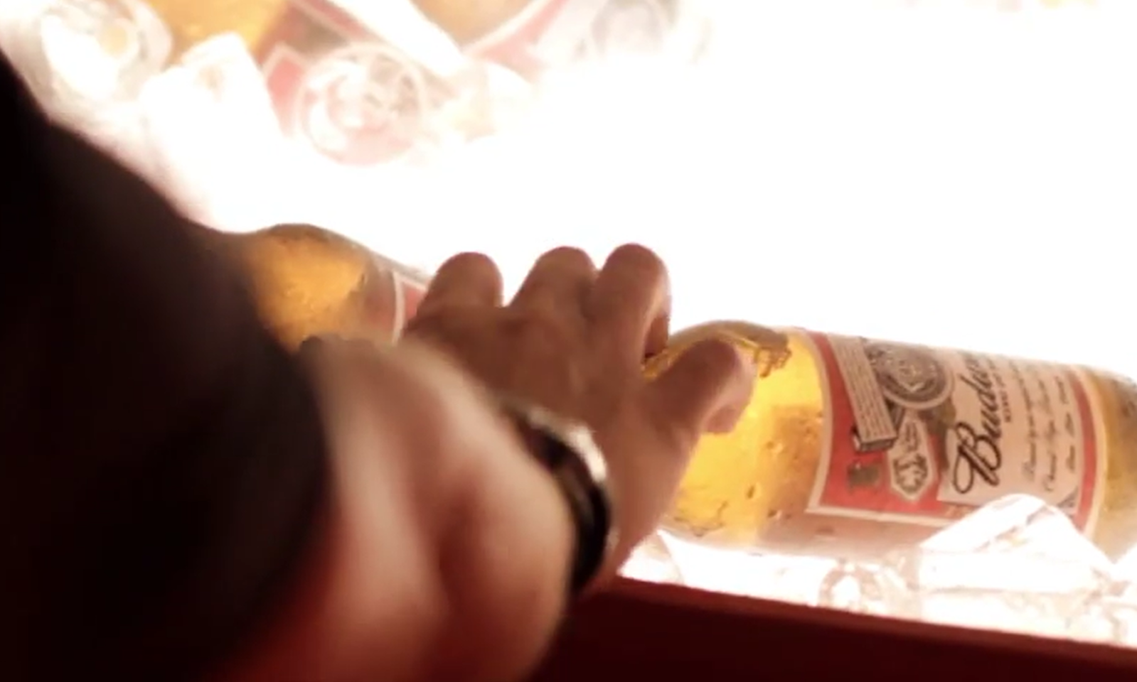 Hand pakt een Budweiser fles uit een koeler met ijs.