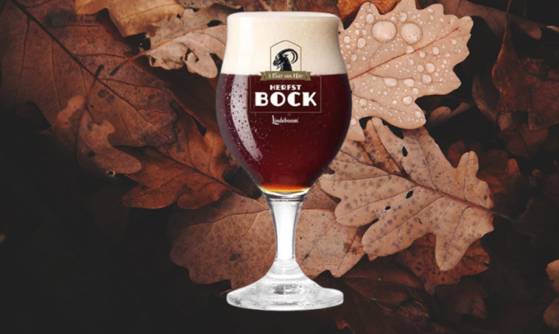 Lindeboom Herfstbock bierglas met gevallen bladeren op de achtergrond Lindeboom Herfstbock bierglas met gevallen bladeren op de achtergrond