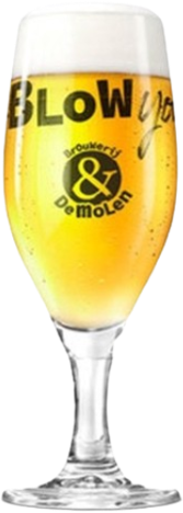 De Molen bierglazen