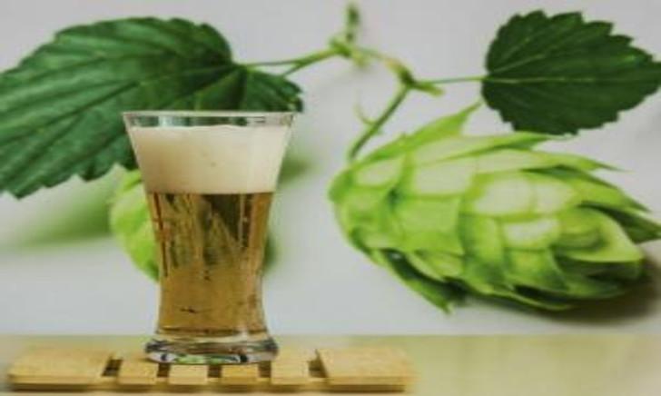 Online cursus bierkenner