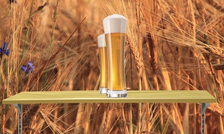 Schott Zwiesel Bierglas