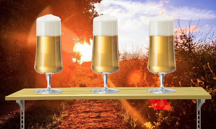 Schott Zwiesel Beer Basic