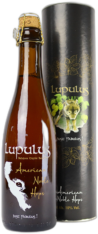 Lupulus American Noble Hops fles van 75cl