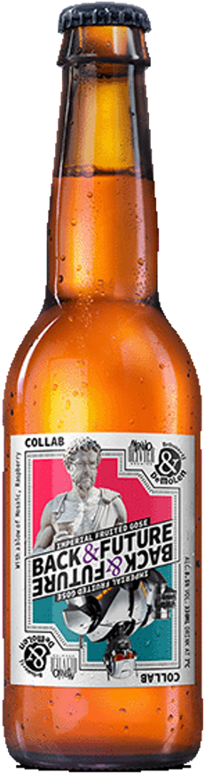 De Molen Back & Future flesje van 33cl