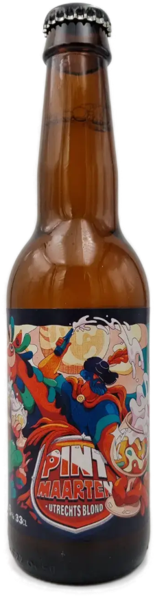 PINT Maarten bier flesje van 33cl