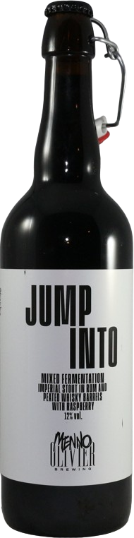 JUMP INTO bier fles van 75cl