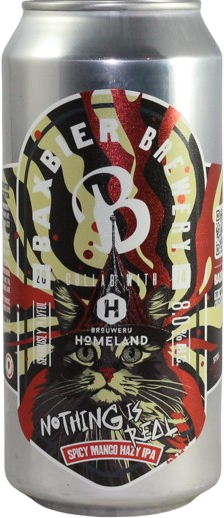 Baxbier Nothing Is Real blik van 44cl