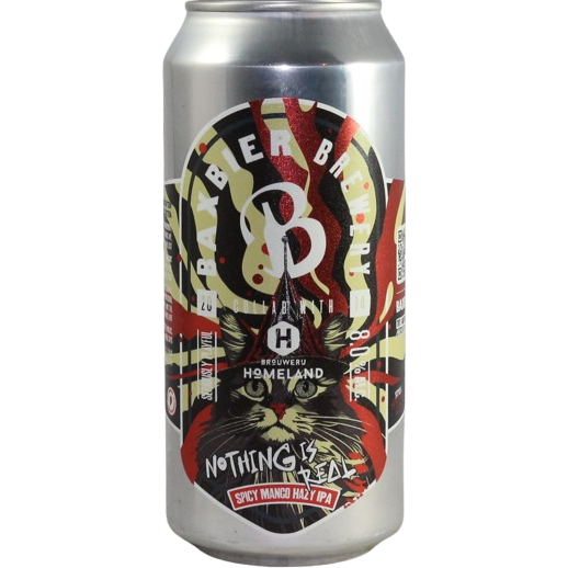 Baxbier Nothing Is Real