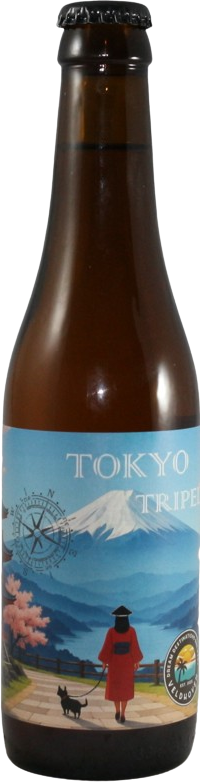 Dream Destinations Tokyo Tripel flesje van 33cl