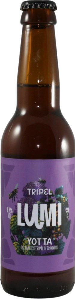 Bruin flesje bier van Lumi Yotta met paarse etiket en witte tekst.