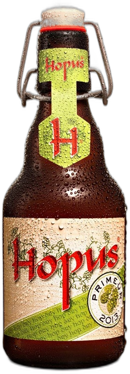 Hopus Primeur 2013 flesje van 33cl
