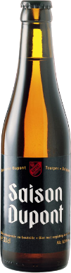 Saison Dupont fles á 0,33 liter