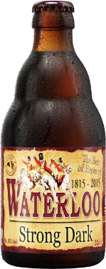 Waterloo Double 8 Dark fles á 0,33 liter